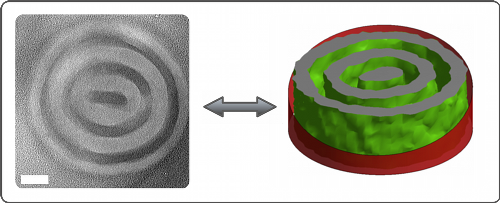 Figure: Comparison of morphology in simulated and experimental (PS-PDMS) block copolymers under cylindrical confinement. Simulations indicate that the symmetry breaking in the central domain is thermodynamically stable. The scale bar is 56 nm.